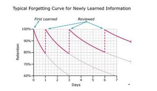 learning japanese forgetting curve